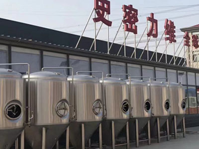 昌江精酿啤酒设备厂—如何判断精酿啤酒设备的密封件需要更换？